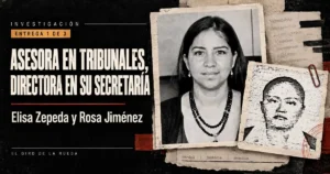 Elisa Zepeda y Rosa Jiménez: el litigio privado dentro de la nómina pública